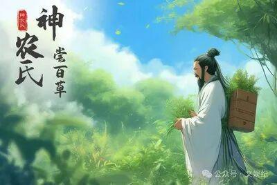  高效节气饮食指南：二月十六食补与养生效能最大化方案 IT技术 高效节气饮食指南：二月十六食补与养生效能最大化方案 IT技术 高效节气饮食指南：二月十六食补与养生效能最大化方案 IT技术