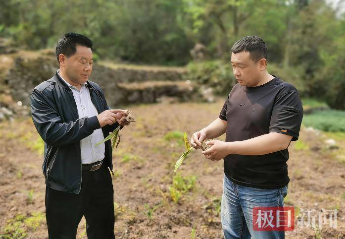  深山振兴的时代命题：放弃百万年薪的村书记，留下了什么？ 新闻 深山振兴的时代命题：放弃百万年薪的村书记，留下了什么？ 新闻