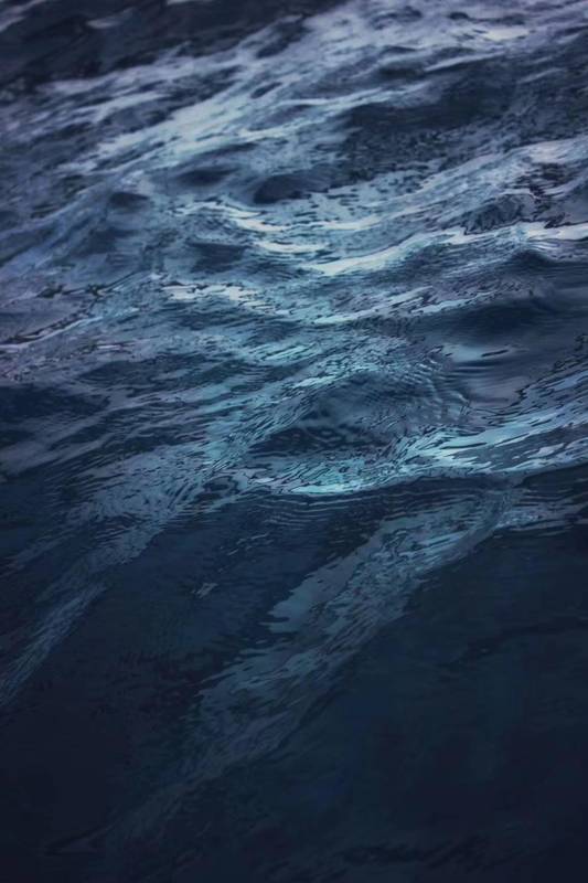  信用卡全额计息：技术机制拆解与风险规避全攻略 股票财经