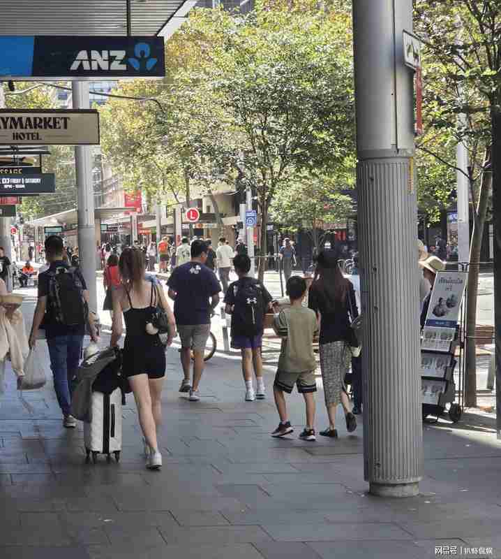  “背影经济学”：从侯佩岑悉尼度假看明星家庭的隐私守护之道 娱乐新闻