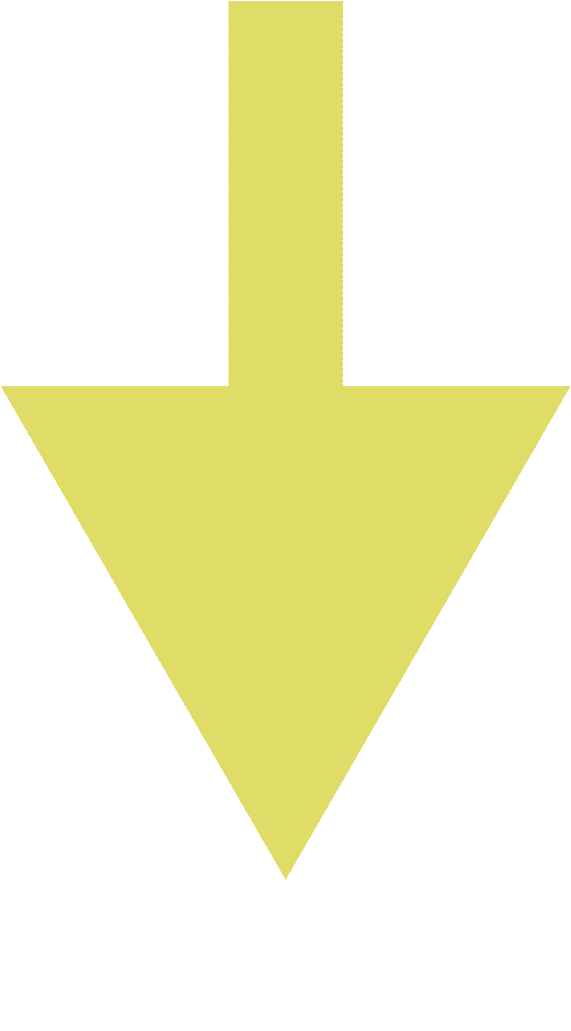  【深度解析】柳絮过敏的真相：不是你想的那样 健康养生