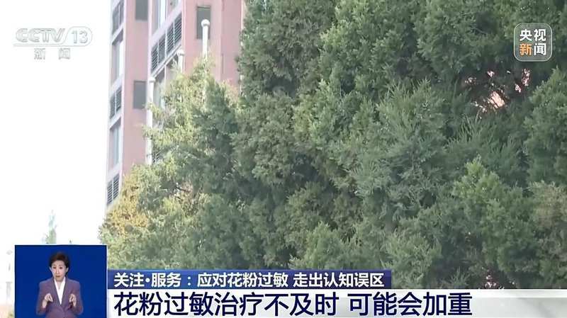 从误区到科学：深度解析花粉过敏的免疫学机制与诊疗路径
