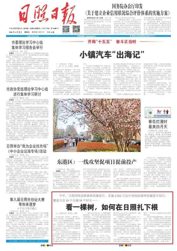 技术破局：日照森林质量提升的精准抚育方法论与七大创新模式