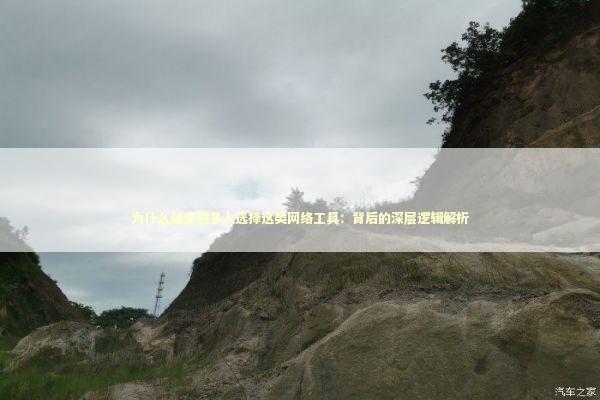 为什么越来越多人选择这类网络工具：背后的深层逻辑解析