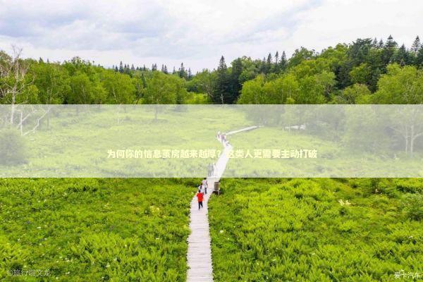 为何你的信息茧房越来越厚？这类人更需要主动打破