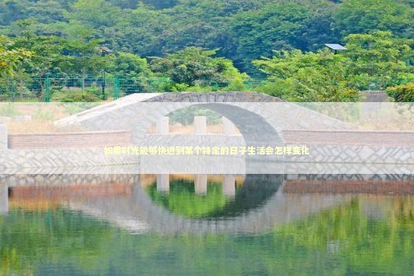 如果时光能够快进到某个特定的日子生活会怎样变化