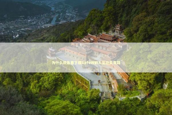 为什么说急着下载SafeW的人正在走弯路 为什么说急着下载SafeW的人正在走弯路 IT技术