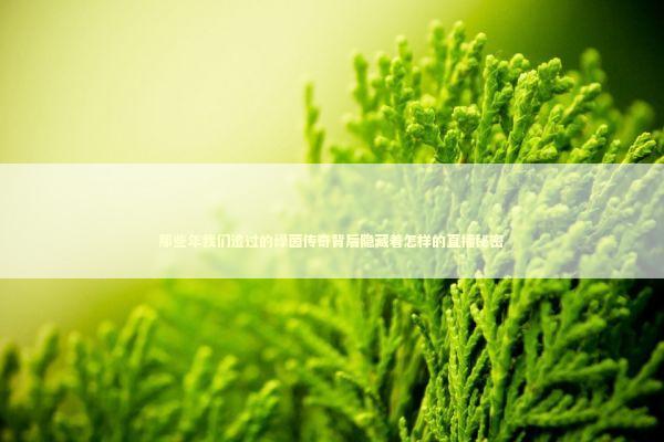那些年我们追过的绿茵传奇背后隐藏着怎样的直播秘密 那些年我们追过的绿茵传奇背后隐藏着怎样的直播秘密 体育新闻