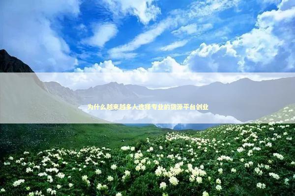 为什么越来越多人选择专业的货源平台创业