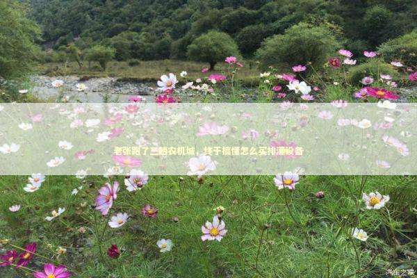 老张跑了三趟农机城，终于搞懂怎么买排灌设备